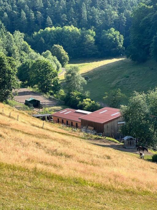 Ferienwohnung Beim Pferdehof Neuenstein  외부 사진